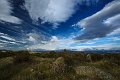 wild sky1